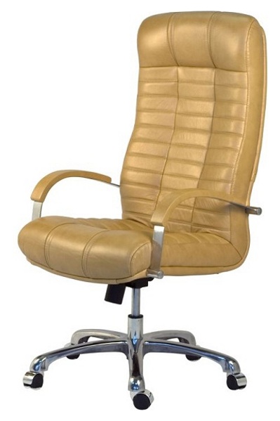 Кожаное кресло руководителя АТЛАНТ пластик для дома,компьютера и офиса . ATLANT-ATLANTIS Steel Chrome