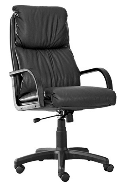 Офисное компьютерное кресла НАДИР PL для руководителя и дома. Nadir Steel Chrome 