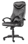 Кресла (стул) СПАРТА -ЭЛЬФ PL для персонала и дома,  SPARTA PL в натуральной коже SP - фото
